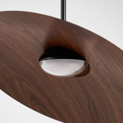 Arcadian Walnut Dome Pendant Light