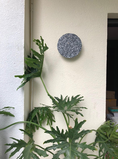 Pin Terrazzo Disc Wall Light
